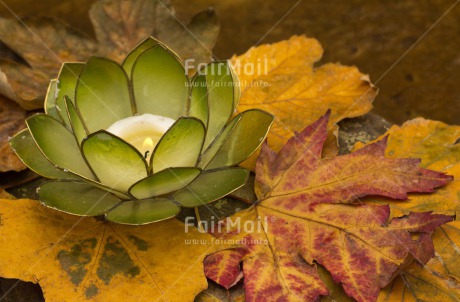 Fair Trade Photo Candle, Colour image, Condolence-Sympathy, Flame, Get well soon, Horizontal, Lotus flower, Peru, South America, Thinking of you