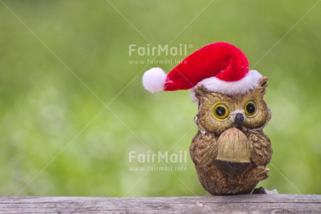 Fair Trade Photo Christmas, Colour image, Horizontal, Owl, Peru, Snow, South America