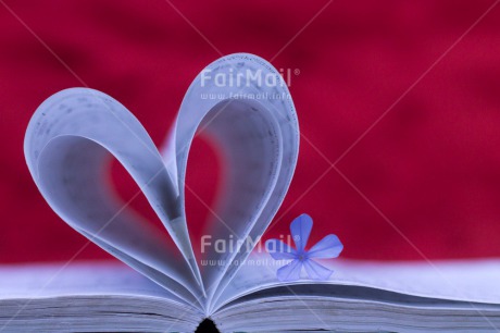 Fair Trade Photo Book, Colour image, Heart, Horizontal, Love, Marriage, Peru, South America, Valentines day, Wedding