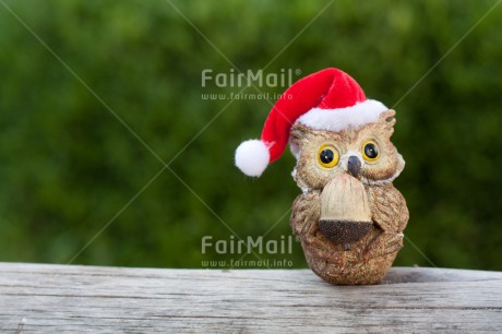 Fair Trade Photo Christmas, Green, Hat, Red