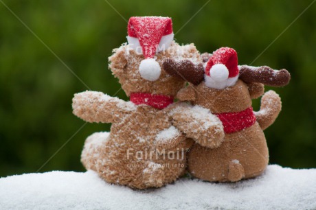 Fair Trade Photo Christmas, Colour image, Friendship, Horizontal, Peru, Snow, South America, Teddybear, Together