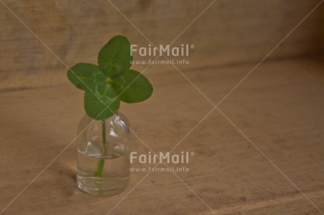 Fair Trade Photo Bottle, Clover, Colour image, Exams, Glass, Good luck, Green, Horizontal, Peru, School, South America, Success, Vase