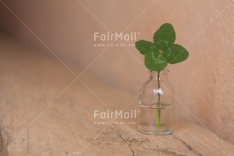 Fair Trade Photo Bottle, Clover, Colour image, Exams, Glass, Good luck, Green, Horizontal, Peru, School, South America, Success, Vase