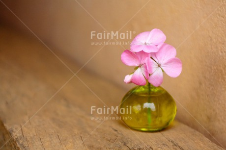 Fair Trade Photo Colour image, Fathers day, Flower, Glass, Green, Horizontal, Love, Mothers day, Peru, Pink, Sorry, South America, Thank you, Valentines day, Vase, Wood