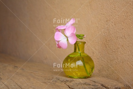 Fair Trade Photo Colour image, Fathers day, Flower, Glass, Green, Horizontal, Love, Mothers day, Peru, Pink, Sorry, South America, Thank you, Valentines day, Vase, Wood