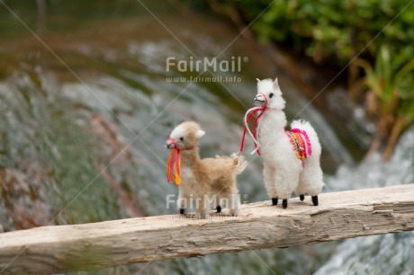 Fair Trade Photo Activity, Animals, Bride, Brown, Colour image, Couple, Horizontal, Llama, Nature, Peru, South America, Together, Walking, Water, Waterfall, White