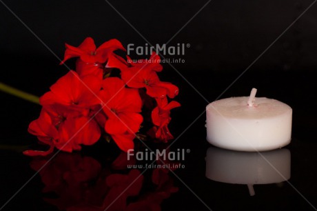 Fair Trade Photo Black, Candle, Colour image, Condolence-Sympathy, Flower, Flowers, Horizontal, Indoor, Night, Peru, Red, South America, Studio, White