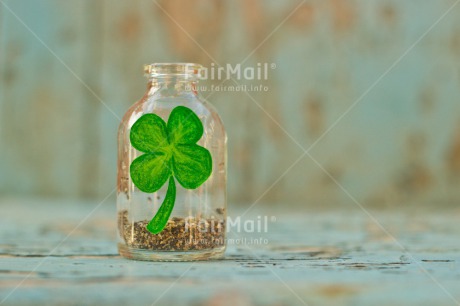 Fair Trade Photo Blue, Bottle, Clover, Colour image, Exams, Good luck, Horizontal, Indoor, New Job, Peru, South America, Success