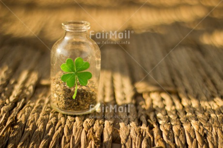 Fair Trade Photo Bottle, Clover, Colour image, Exams, Good luck, Horizontal, New Job, Outdoor, Peru, South America, Success