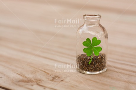 Fair Trade Photo Bottle, Clover, Colour image, Exams, Good luck, Horizontal, Indoor, New Job, Peru, South America, Success