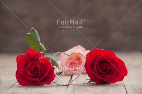 Fair Trade Photo Colour image, Flowers, Heart, Horizontal, Indoor, Love, Marriage, Mothers day, Peru, Red, Rose, South America, Table, Valentines day, Wedding, Wood