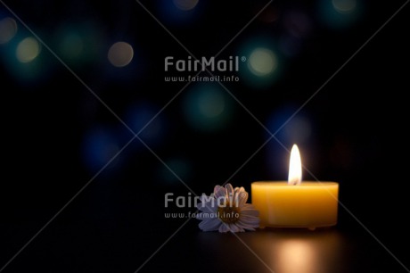 Fair Trade Photo Black, Candle, Colour image, Condolence-Sympathy, Daisy, Emotions, Flame, Flower, Indoor, Light, Night, Peru, Sadness, South America, Studio