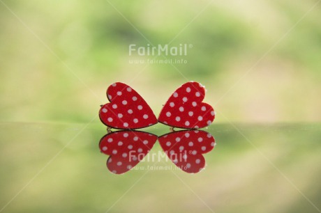 Fair Trade Photo Animals, Colour image, Dots, Fathers day, Friendship, Good luck, Green, Heart, Ladybug, Love, Marriage, Mothers day, Peru, Red, Seasons, South America, Spring, Success, Valentines day, Wedding