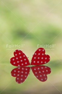 Fair Trade Photo Animals, Colour image, Dots, Fathers day, Friendship, Good luck, Green, Heart, Ladybug, Love, Marriage, Mothers day, Peru, Red, Seasons, South America, Spring, Success, Valentines day, Wedding