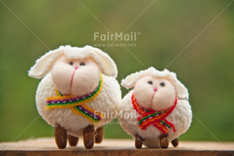 Fair Trade Photo Animals, Brother, Colour image, Couple, Fathers day, Friendship, Grass, Green, Love, Marriage, Mothers day, Nature, Outdoor, Peru, Sheep, Sister, South America, Valentines day, White