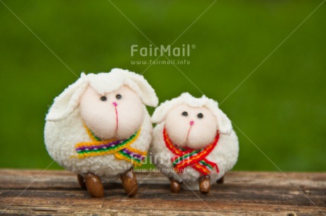 Fair Trade Photo Animals, Brother, Colour image, Couple, Fathers day, Friendship, Grass, Green, Love, Marriage, Mothers day, Nature, Outdoor, Peru, Sheep, Sister, South America, Valentines day, White