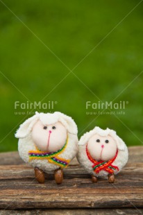 Fair Trade Photo Animals, Brother, Colour image, Couple, Fathers day, Friendship, Grass, Green, Love, Marriage, Mothers day, Nature, Outdoor, Peru, Sheep, Sister, South America, Valentines day, White