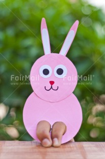 Fair Trade Photo Animals, Birthday, Colour image, Colourful, Easter, Hand, Peru, Rabbit, South America