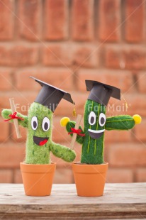 Fair Trade Photo Brick, Cactus, Clothing, Colour image, Congratulations, Diploma, Hat, Outdoor, Peru, Smile, South America, Success, Two, Vertical