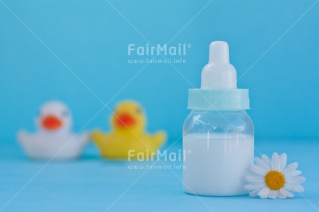 Fair Trade Photo Animals, Biberon, Birth, Blue, Boy, Colour image, Daisy, Duck, Flower, Horizontal, New baby, People, Peru, South America