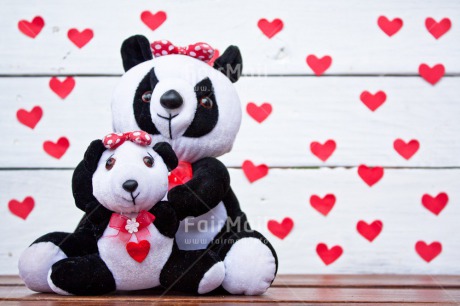 Fair Trade Photo Animals, Colour image, Heart, Love, Mothers day, New baby, Panda, Peluche, Peru, Sister, South America, White, Wood