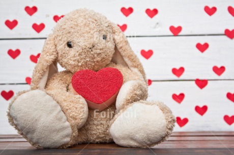 Fair Trade Photo Animals, Colour image, Fathers day, Heart, Love, Mothers day, Peluche, Peru, Rabbit, South America, Thinking of you, Valentines day