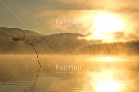 Fair Trade Photo Chachapoyas, Colour image, Condolence-Sympathy, Horizontal, Lake, Landscape, Nature, Peru, Reflection, South America, Sunrise, Tree, Water