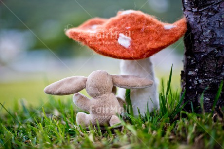 Fair Trade Photo Birthday, Chachapoyas, Colour image, Friendship, Green, Horizontal, Mushroom, Peluche, Peru, South America, Thank you, Thinking of you, Tree