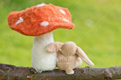 Fair Trade Photo Birthday, Chachapoyas, Colour image, Friendship, Green, Horizontal, Mushroom, Peluche, Peru, South America, Thank you, Thinking of you, Tree