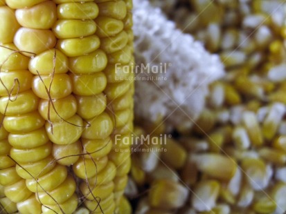 Fair Trade Photo Agriculture, Colour image, Corn, Focus on foreground, Food and alimentation, Horizontal, Indoor, Market, Peru, South America, Yellow