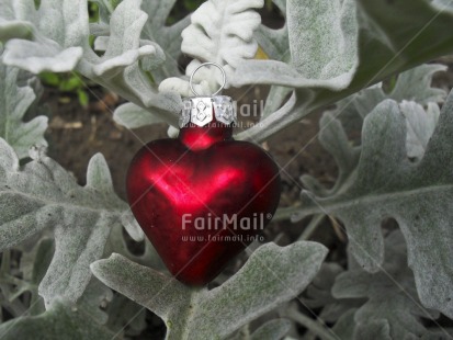 Fair Trade Photo Christmas, Christmas ball, Colour image, Day, Heart, Horizontal, Outdoor, Peru, Plant, South America, Tree