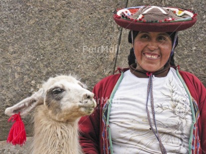 Fair Trade Photo Activity, Animals, Clothing, Colour image, Cusco, Dailylife, Ethnic-folklore, Hat, Horizontal, Llama, Looking away, Multi-coloured, One woman, Outdoor, People, Peru, Portrait halfbody, Smile, Smiling, South America