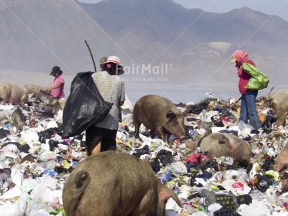 Fair Trade Photo Activity, Child labour, Colour image, Day, Environment, Garbage, Garbage belt, Group of People, Health, Outdoor, People, Peru, Recycle, Sanitation, South America, Sustainability, Values, Vertical, Working