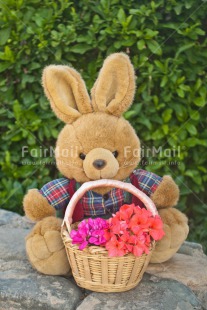 Fair Trade Photo Animals, Birthday, Bucket, Colour image, Congratulations, Flower, Friendship, Get well soon, Grass, Green, Love, Mothers day, Outdoor, Peluche, Peru, Rabbit, Sorry, South America, Thinking of you, Valentines day