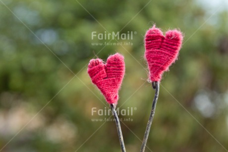 Fair Trade Photo Colour image, Green, Heart, Horizontal, Love, Marriage, Mothers day, Peru, Pink, South America, Thinking of you, Valentines day, Wedding