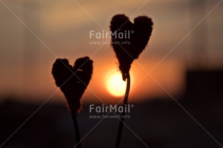 Fair Trade Photo Colour image, Heart, Horizontal, Love, Marriage, Mothers day, Peru, Shooting style, Silhouette, Sky, South America, Sunset, Thinking of you, Valentines day, Wedding