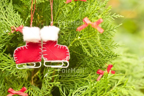 Fair Trade Photo Boot, Christmas, Christmas decoration, Christmas tree, Clothing, Colour, Colour image, Horizontal, Object, Pine, Place, Red, Skate, South America, Staple, White