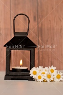 Fair Trade Photo Candle, Christmas, Christmas decoration, Colour image, Daisy, Flower, Lantern, Nature, Object, Peru, Place, South America, Thinking of you, Vertical