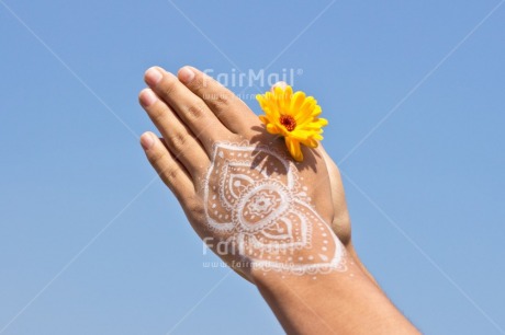 Fair Trade Photo Activity, Blue, Body, Colour, Colour image, Flower, Hand, Hope, Horizontal, Meditating, Nature, Peace, Peru, Place, Sky, South America, Spirituality, Values, Yellow, Yoga