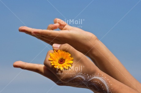 Fair Trade Photo Activity, Blue, Body, Colour, Colour image, Flower, Hand, Hope, Horizontal, Meditating, Nature, Peace, Peru, Place, Sky, South America, Spirituality, Values, Yellow, Yoga