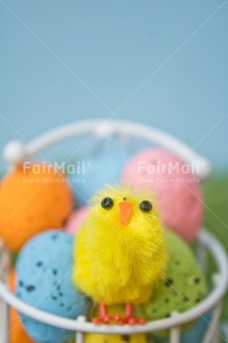 Fair Trade Photo Adjective, Animals, Chick, Colour, Easter, Egg, Food and alimentation, New baby, Vertical