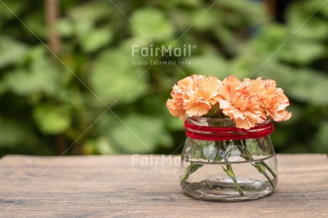 Fair Trade Photo Birthday, Congratulations, Flower, Friendship, Get well soon, Jar, Love, Mothers day, Nature, New beginning, Object, Sorry, Thank you, Thinking of you