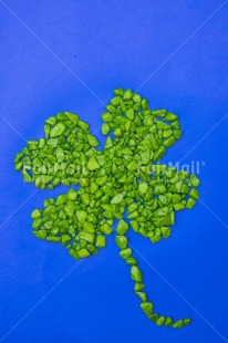 Fair Trade Photo Blue, Clover, Colour, Congratulations, Emotions, Flower, Goal, Good luck, Green, Nature, Success