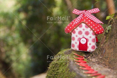 Fair Trade Photo Colour image, Horizontal, House, Nature, New beginning, New home, Peru, Red, South America, Tree