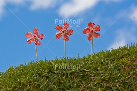 Fair Trade Photo Birthday, Blue, Clouds, Day, Grass, Green, Horizontal, Outdoor, Party, Red, Sky, Summer, Windmill