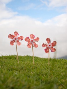 Fair Trade Photo Birthday, Blue, Clouds, Day, Grass, Green, Outdoor, Party, Red, Sky, Summer, Vertical, Windmill