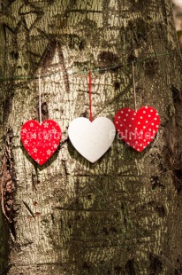 Fair Trade Photo Day, Heart, Love, Outdoor, Red, Tree, Valentines day, Vertical, Wood