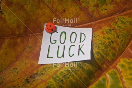 Fair Trade Photo Closeup, Good luck, Green, Horizontal, Leaf, Letter