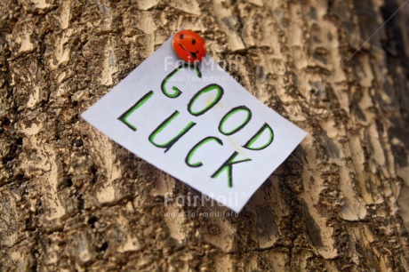 Fair Trade Photo Closeup, Good luck, Green, Horizontal, Leaf, Letter