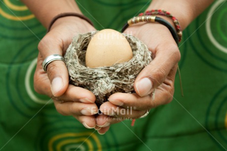 Fair Trade Photo Activity, Closeup, Colour image, Easter, Egg, Giving, Hand, Horizontal, Nest, New baby, Peru, South America